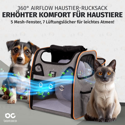 katzenrucksack wandern