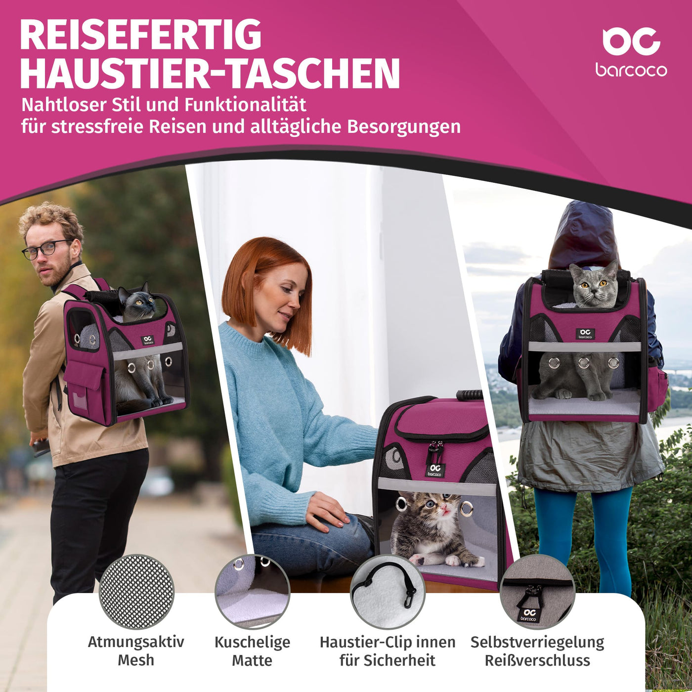 katzenrucksack flugzeug