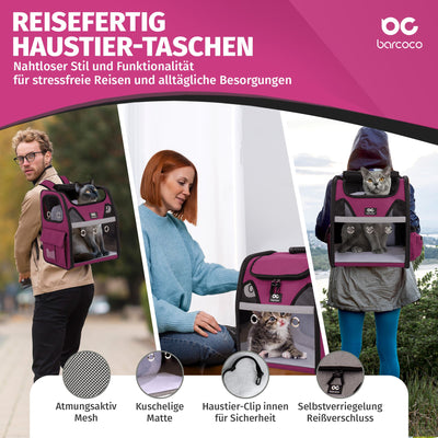 katzenrucksack flugzeug