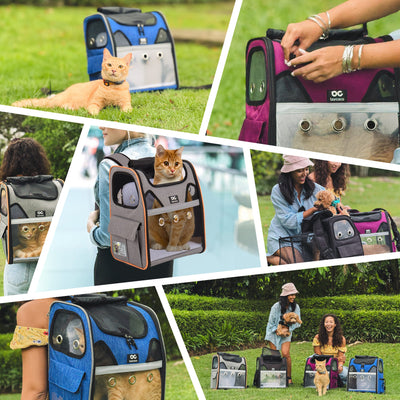 katzenrucksack für zwei katzen